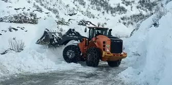 Hakkari'de çığ nedeniyle kapanan Yüksekova-Şemdinli kara yolu açıldı