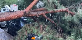 İzmir'de sağanak nedeniyle kamyonette mahsur kalan 2 kişi kurtarıldı