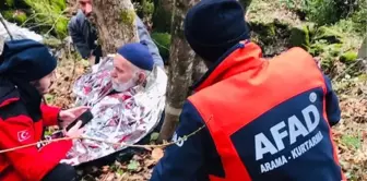 Alzheimer hastası ormanda bulundu