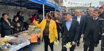 Karaburun'da Nergis Festivali İzdihamı