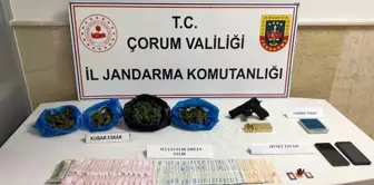 Çorum'da Uyuşturucu Operasyonu: 237 Gram Esrar Ele Geçirildi