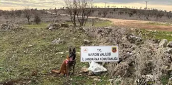 Mardin'de Yola Tuzaklanmış EYP İmha Edildi