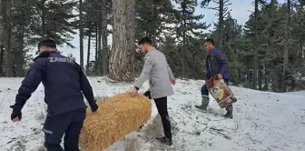 Demirci'de Kar Yağışının Ardından Yaban Hayvanlarına Yem Bırakıldı