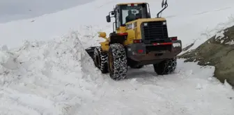 Doğu Anadolu'da Kar ve Tipi Nedeniyle Yüzlerce Yol Ulaşıma Kapandı