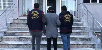 Bafra'da aranan şahıs jandarma tarafından yakalandı