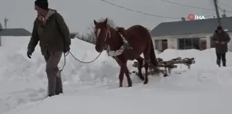 Muş'ta besicilerin imdadına atlı kızaklar yetişti