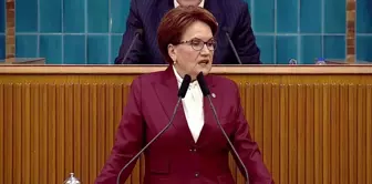 Meral Akşener: Emeklilerin bayram ikramiyesi azalmış kuşa dönmüş