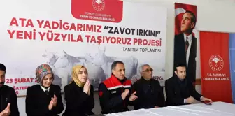 Kars'ta Zavot Irkı Yeni Yüzyıla Taşınıyor