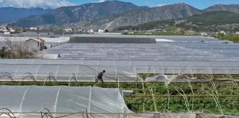 Antalya'da Hortum Nedeniyle Seralar Zarar Gördü