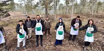 Altıntaş ve Dumlupınar Kaymakamları Karaçam Tohumu Ekimine Katıldı