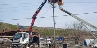 Sinop'ta leylekler için yapay yuvalar yerleştirildi