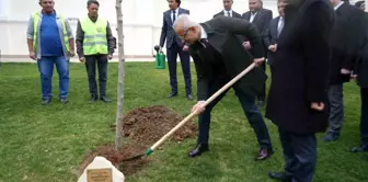 Ulaştırma Bakanı Abdulkadir Uraloğlu Bilecik'te çınar fidanı dikti