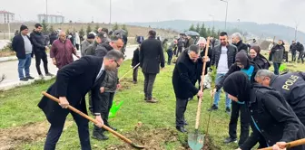 Sinop'ta Orman Haftası etkinliği: 685 fidan dikildi