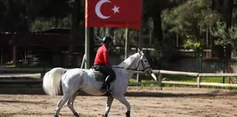 Antalya'da At Oteli: Değerleri Milyon Doları Bulan Atlar Yarışlara Hazırlanıyor