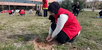 NEVÜ Öğrencileri Orman Haftası'nda Fidan Dikti