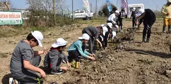 Samsun'da Dünya Ormancılık Haftası kutlamaları