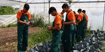 Adana'da Meslek Lisesi Öğrencileri Tarım Uygulamalarını Gerçekleştirdi