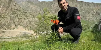 Selçuk Bayraktar'tan Hakkari fotosuna gelen provokatif yoruma alkış alan yanıt