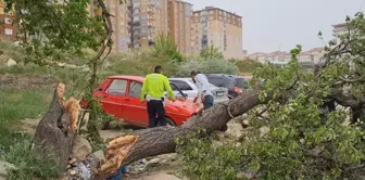 Kırıkkale'de Şiddetli Rüzgar Nedeniyle Otomobil Üzerine Ağaç Devrildi