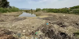 Büyük Menderes Nehri'nde Kuraklık: Sular Çekildi