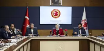 TBMM İnsan Haklarını İnceleme Komisyonu Çocuk Hakları Alt Komisyonu Ankara Büyükşehir Belediyesi Çocuk Meclisi Üyelerini Dinledi