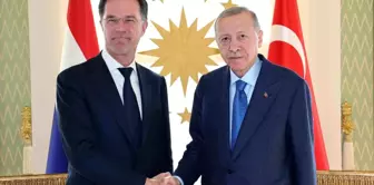 Cumhurbaşkanı Erdoğan, Hollanda Başbakanı Rutte'yi kabul etti