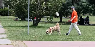 Samsun'da Güneşli Havayı Değerlendiren Vatandaşlar Sahil ve Piknik Alanlarını Doldurdu