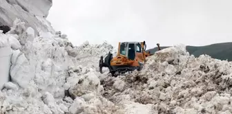 Ağrı'nın Taşlıçay ilçesinde kışın ulaşım sağlanamayan köylere yol açıldı