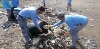 Hatay'da İlçe Sahillerinde Temizlik Çalışması