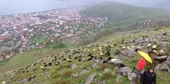 Tatvan'da Fotoğraf Sanatçıları Gökkuşağını Bekledi