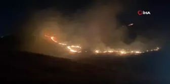 Şanlıurfa'da ormanlık alandaki yangın söndürüldü