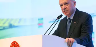 Cumhurbaşkanı Erdoğan'dan 19 Mayıs Mesajı: Gençlerimize Tarihe Sahip Çıkın