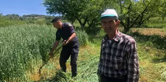 Jandarma, yaşlı çiftçiye yardım etti