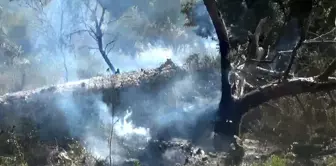 Çanakkale'de Tarım Arazisinde Başlayan Yangın Kontrol Altına Alındı