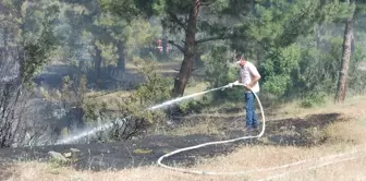 Çanakkale'de Tarım Arazisinde Çıkan Yangın Kontrol Altına Alındı