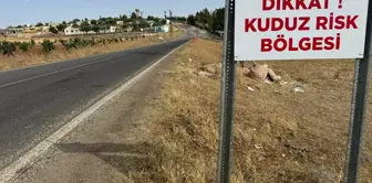 Şanlıurfa'da Kuduz Vakaları Nedeniyle Karantina Uygulaması Başlatıldı