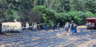 Çanakkale'de Tarım Arazisinde Yangın Çıktı