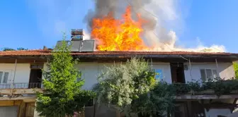 Sakarya'nın Taraklı ilçesinde çıkan yangında 2 ev ile depo kullanılamaz hale geldi