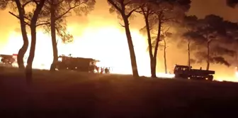 Çanakkale'de Tarım Arazisinde Başlayan Yangın Kontrol Altına Alındı