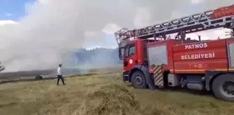 Ağrı'da buğday tarlası yangını