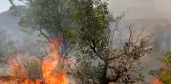 Mardin'in Yeşilli ilçesinde çıkan yangın kontrol altına alındı