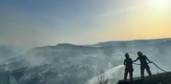 Çanakkale'deki Assos Antik Kenti'nde Yangın Kontrol Altına Alındı