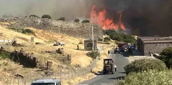 Çanakkale'de çıkan yangın Assos Antik Kenti'ne sıçradı