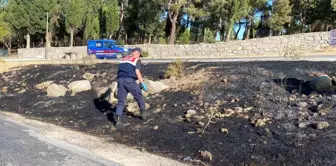 Çanakkale'de çıkan yangın Assos Antik Kenti'ne sıçradı