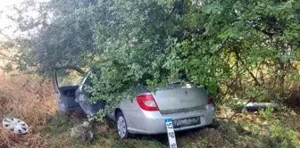 Samsun'da meyve bahçesine dalan otomobilin çarptığı kazada 3 kişi yaralandı