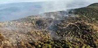 Çanakkale'deki yangında Assos Ören Yeri zarar gördü