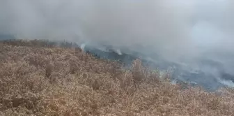 Enez'de çıkan yangında 20 dekarlık buğday yandı