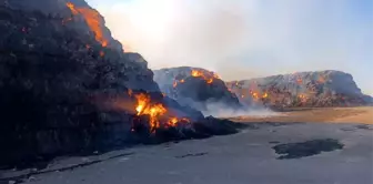 Şanlıurfa'da 65 Bin Ton Saman Balyası Yanarak Kül Oldu