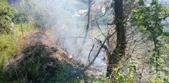 Tokat'ın Niksar ilçesinde otluk alanda çıkan yangın söndürüldü