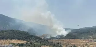 Manisa'da çıkan orman yangını kontrol altına alındı